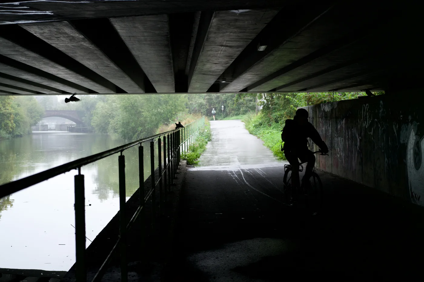Fietser als silhouet onder een brug langs het kanaal, een loopster in de verte en een duif in de lucht.